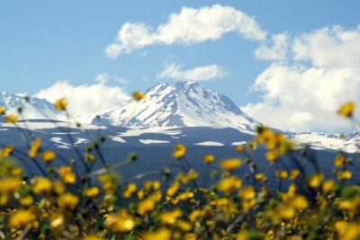 Amberd, Aragats, Lake Kari, Saghmosavank, Alphabet