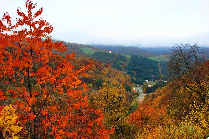 Group Tour: Lake Sevan (Sevanavank), Dilijan (Goshavank, Haghartsin) - Haghartsin in the Tavush woods
