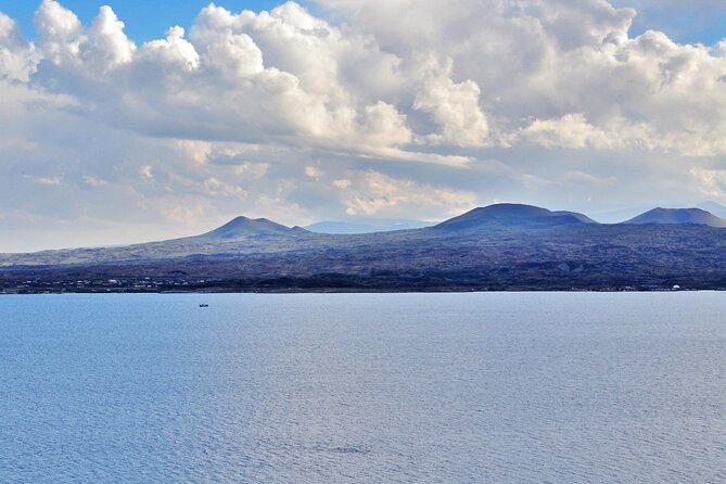 Lake Sevan & Dilijan Guided Day Trip with Ijevan Wine Tour - Key points before you book