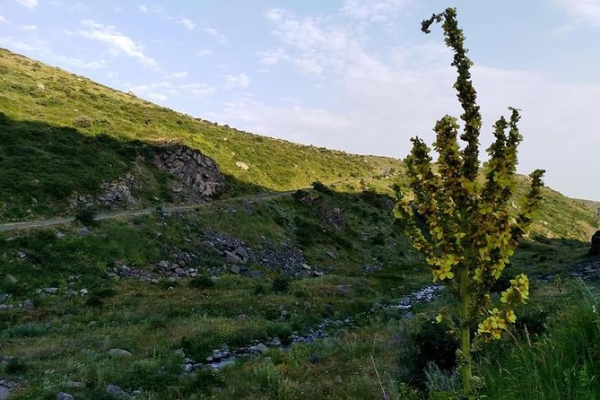 Mount Aragats, Amberd Fortress, Saghmosavank Monastery, Alphabet - private tour - Key points to know before booking