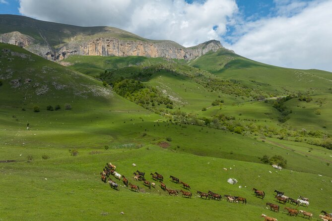 Off Road Tour to Dimats Mount Dilijan Armenia - Key points to know before you book