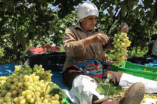 Private tour to Khor Virap, Ararat view - What the driver service adds