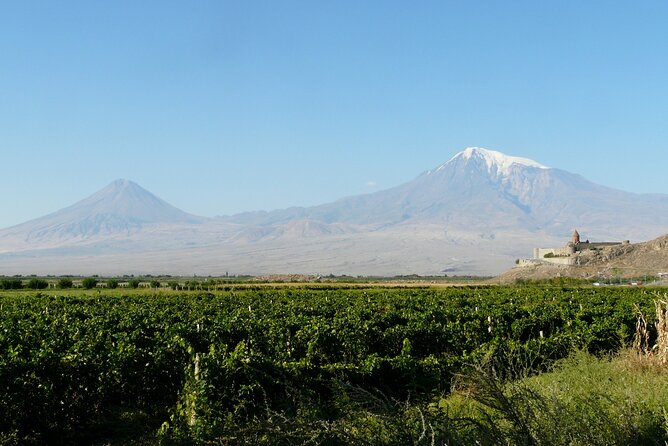 Private Tour to Khor Virap Monastery - The view toward biblical Mount Ararat