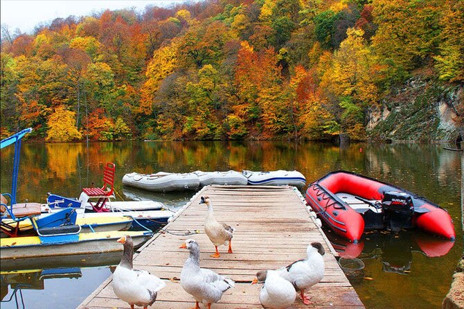 Private Tour to Sevan, Haghartsin, Lake Parz & Deer Farm - Why this northern Armenia day trip works
