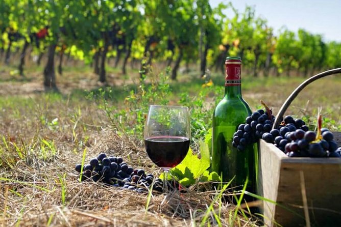 Private wine tour to Khor Virap, Areni winery, Noravank - Key points to know before you go