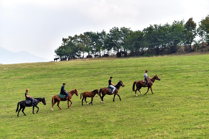 Scenic Trail Rides - Key points at a glance