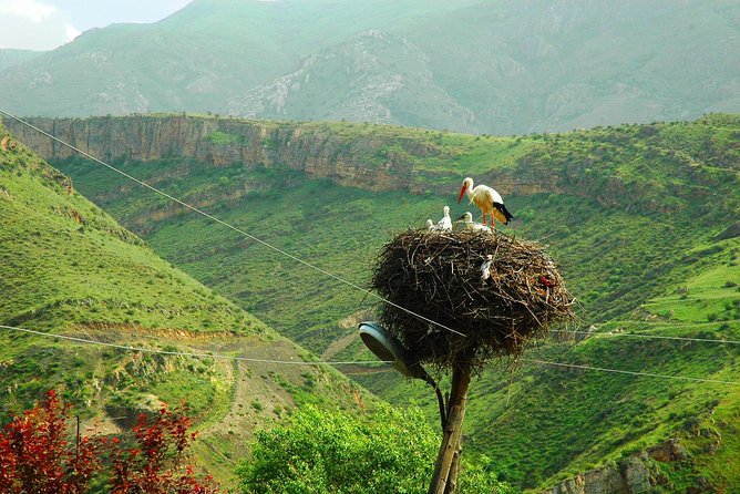 The Great Beauty of Armenia: 7-Day Culture and Cuisine Tour - Tatev and southern Armenia require stamina