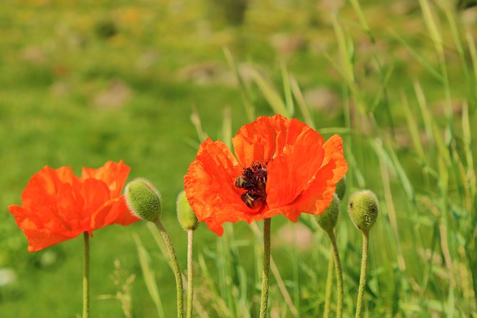The Great Beauty of Armenia: 7-Day Culture and Cuisine Tour - Vernissage is the right final stop