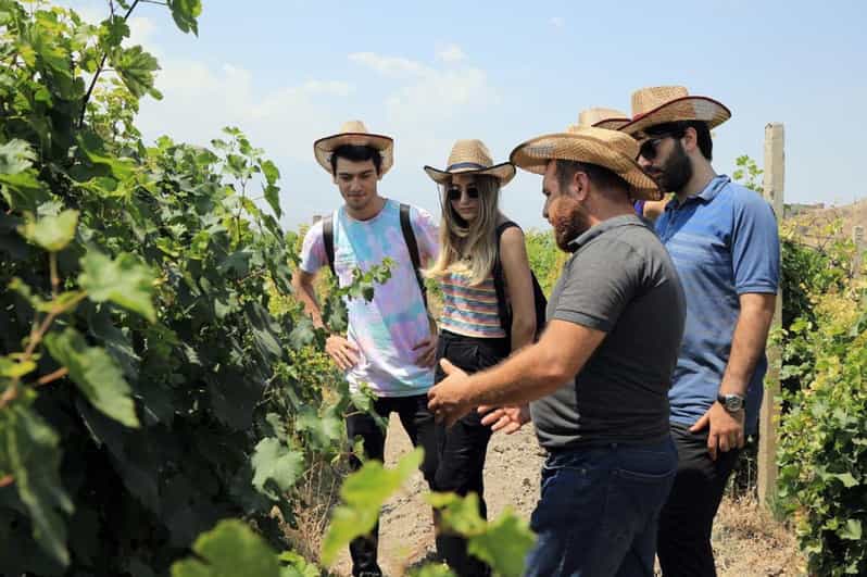 Yerevan: Khor Virap Day Trip with Mount Ararat Wine Tasting - Key points to know before you book