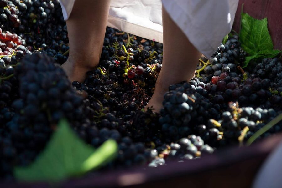 Yerevan: Khor Virap Day Trip with Mount Ararat Wine Tasting - Why Khor Virap makes such a strong first stop