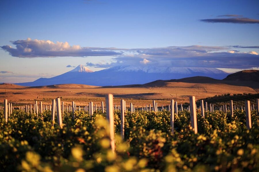 Yerevan: Khor Virap Day Trip with Mount Ararat Wine Tasting - Exploring the monastery without losing the mountain view